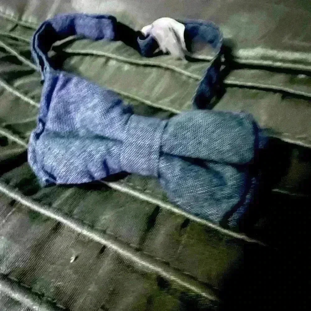 Boys clip bow tie